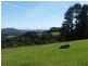 4948 Waterfall Way, Dorrigo NSW 2453