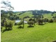 4948 Waterfall Way, Dorrigo NSW 2453