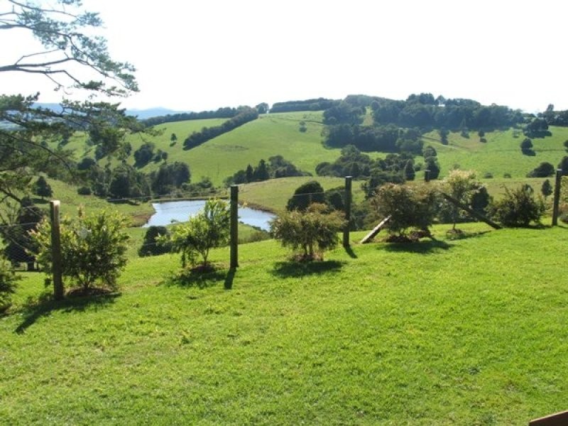 4948 Waterfall Way, Dorrigo NSW 2453