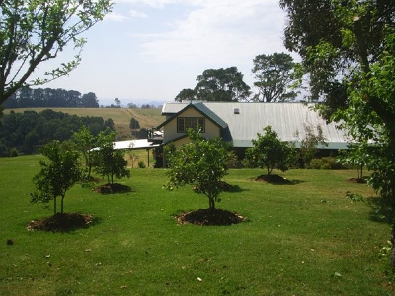 4948 Waterfall Way, Dorrigo NSW 2453