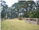 4948 Waterfall Way, Dorrigo NSW 2453