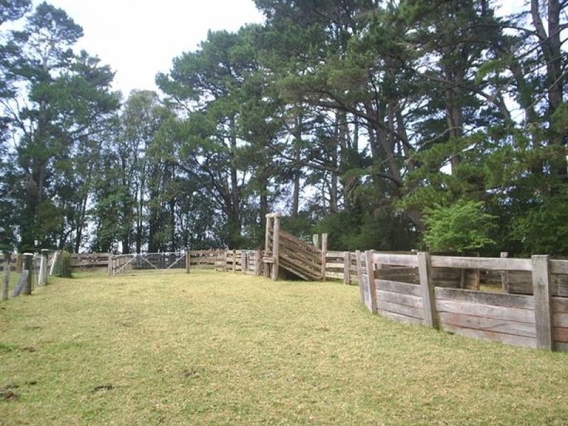 4948 Waterfall Way, Dorrigo NSW 2453