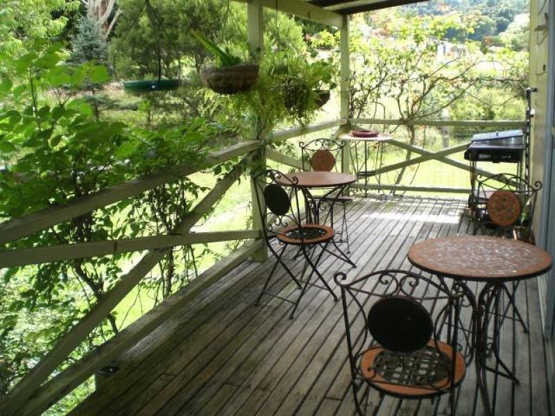 25 Richards Road, Dorrigo NSW 2453