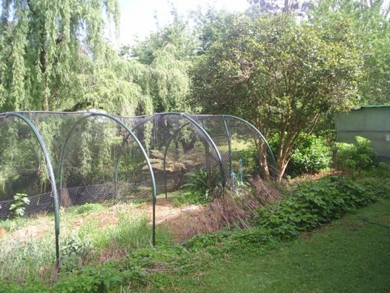 25 Richards Road, Dorrigo NSW 2453