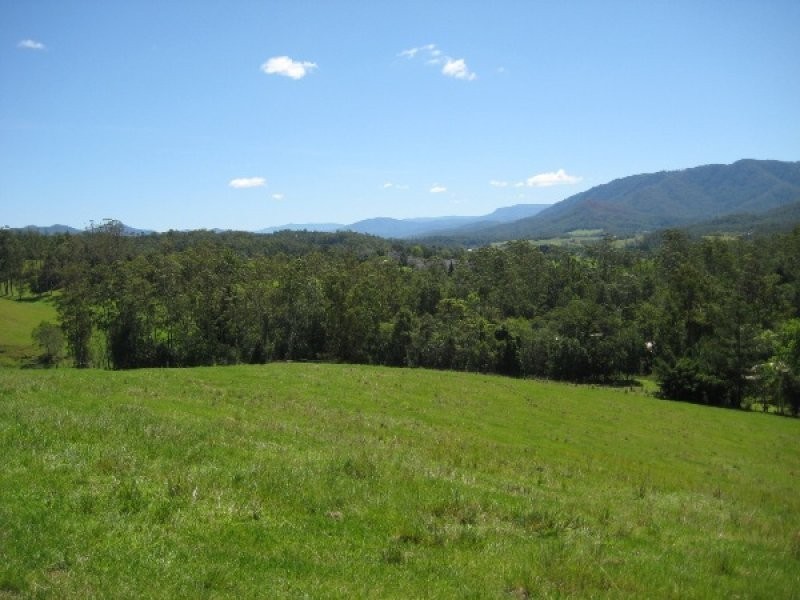 2209 Waterfall Way, Bellingen NSW 2454