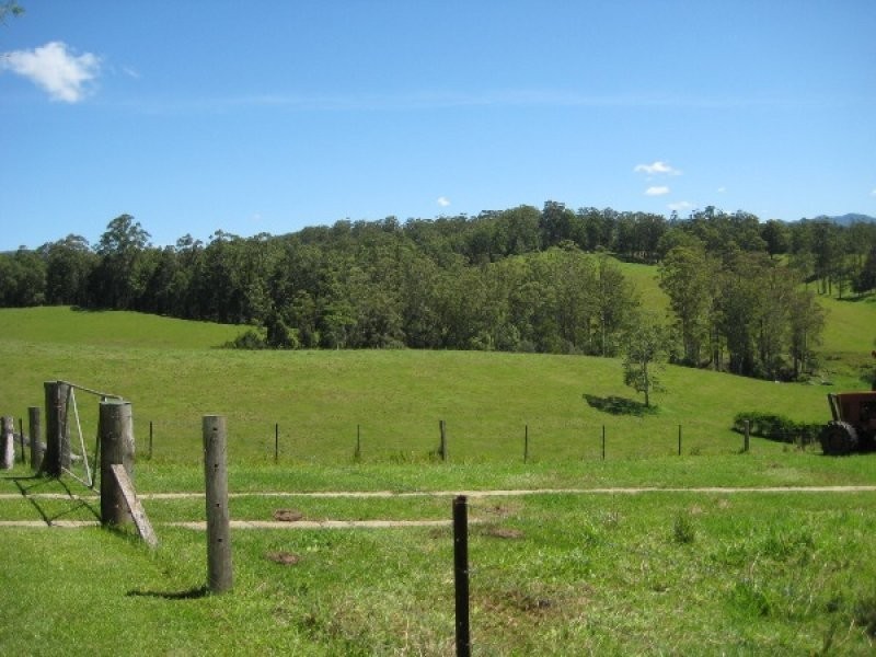 2209 Waterfall Way, Bellingen NSW 2454