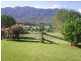 2209 Waterfall Way, Bellingen NSW 2454