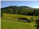 1829 Tyringham Road, Dorrigo NSW 2453
