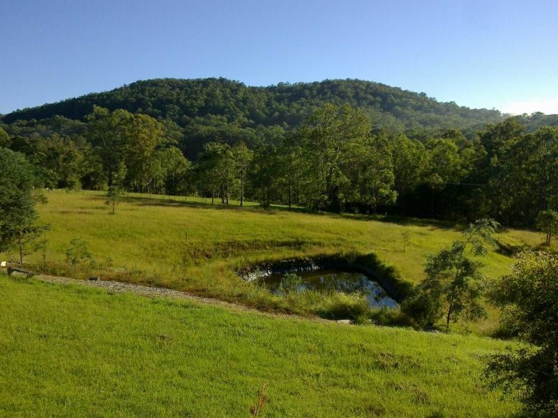 1829 Tyringham Road, Dorrigo NSW 2453