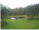 1829 Tyringham Road, Dorrigo NSW 2453