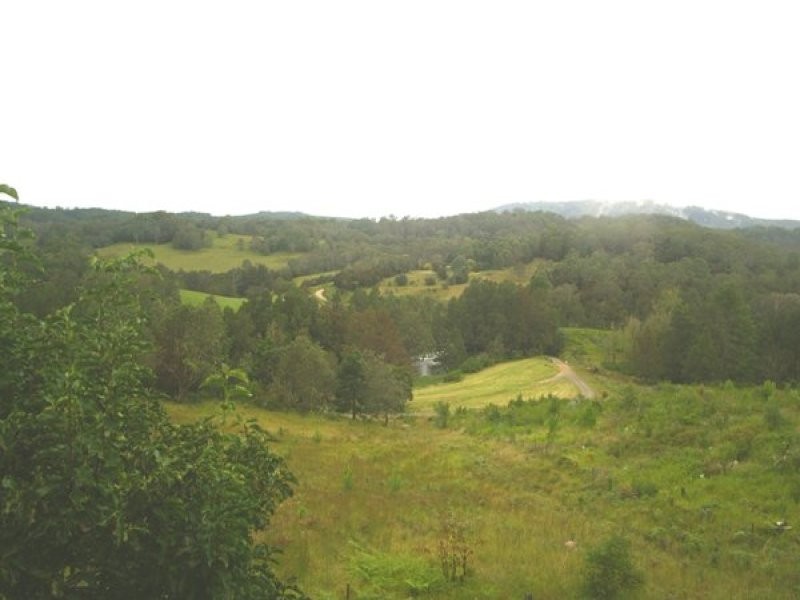 341 Moonpar Road, Dorrigo NSW 2453