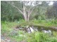 341 Moonpar Road, Dorrigo NSW 2453