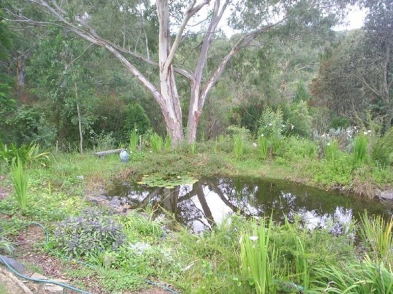 341 Moonpar Road, Dorrigo NSW 2453