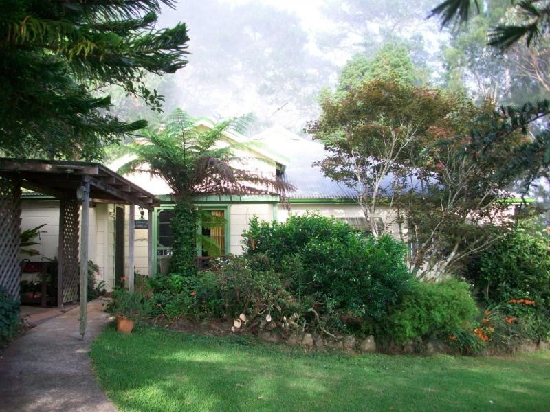 4705 Waterfall Way, Dorrigo NSW 2453