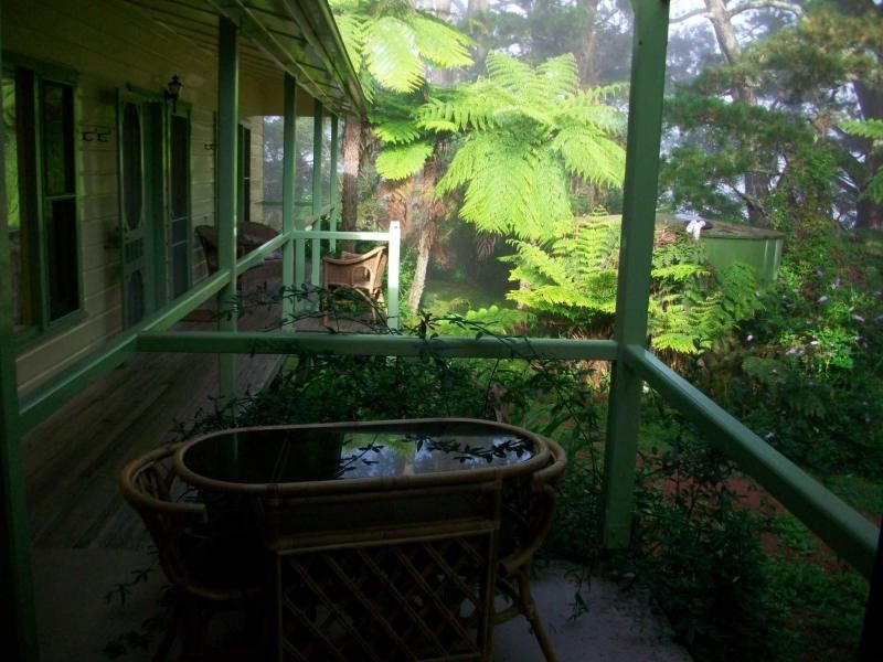 4705 Waterfall Way, Dorrigo NSW 2453