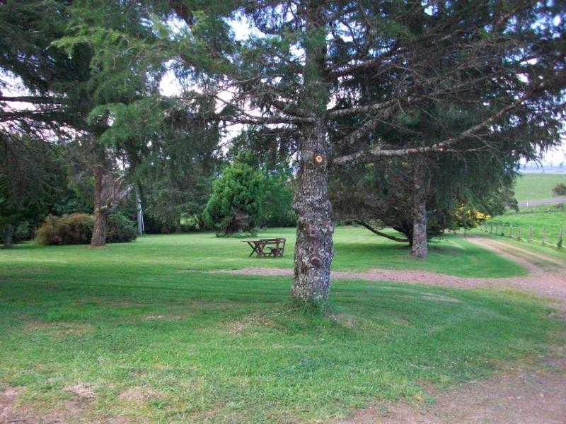 4705 Waterfall Way, Dorrigo NSW 2453