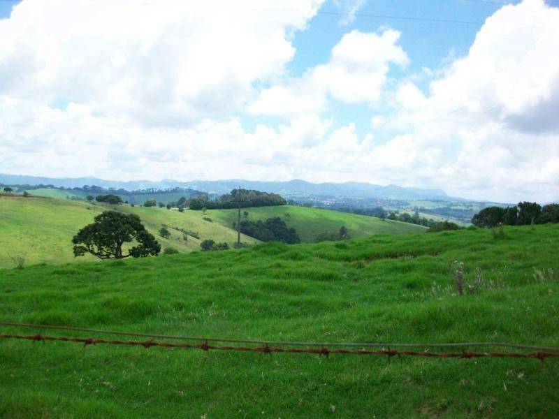 4705 Waterfall Way, Dorrigo NSW 2453