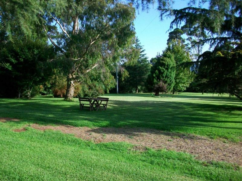 4705 Waterfall Way, Dorrigo NSW 2453