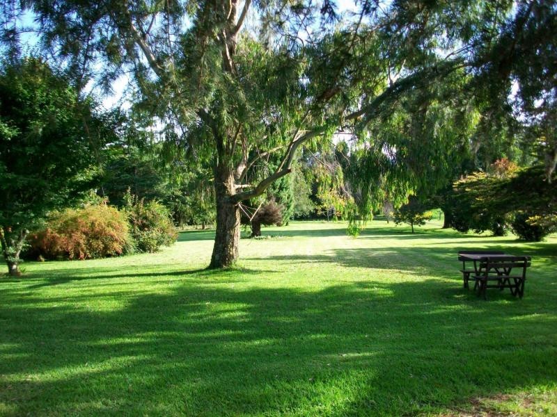 4705 Waterfall Way, Dorrigo NSW 2453