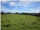 1654 Tyringham Road, Dorrigo NSW 2453