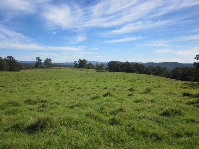 1654 Tyringham Road, Dorrigo NSW 2453