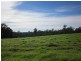 1654 Tyringham Road, Dorrigo NSW 2453