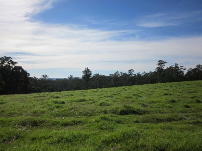 1654 Tyringham Road, Dorrigo NSW 2453