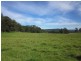 1654 Tyringham Road, Dorrigo NSW 2453