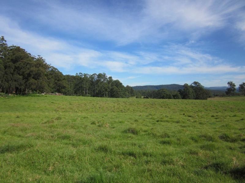 1654 Tyringham Road, Dorrigo NSW 2453