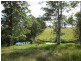 1654 Tyringham Road, Dorrigo NSW 2453