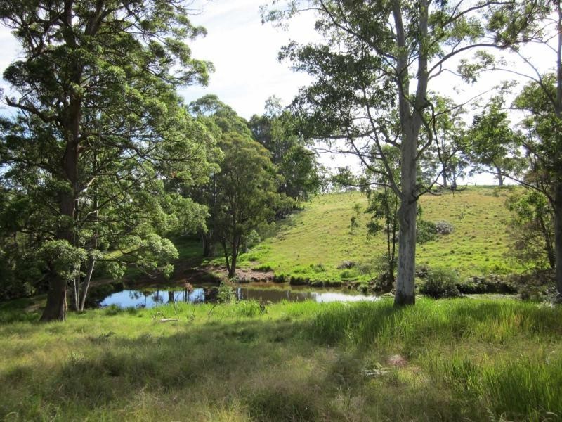 1654 Tyringham Road, Dorrigo NSW 2453