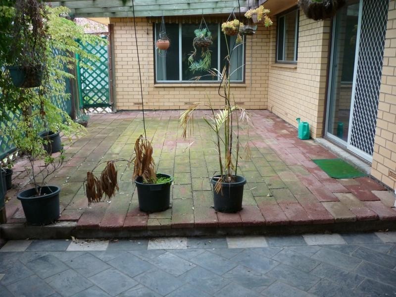 20 Bounty Road, Hallett Cove SA 5158