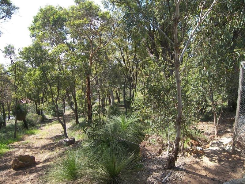 11 Oxley Place, Darlington WA 6070