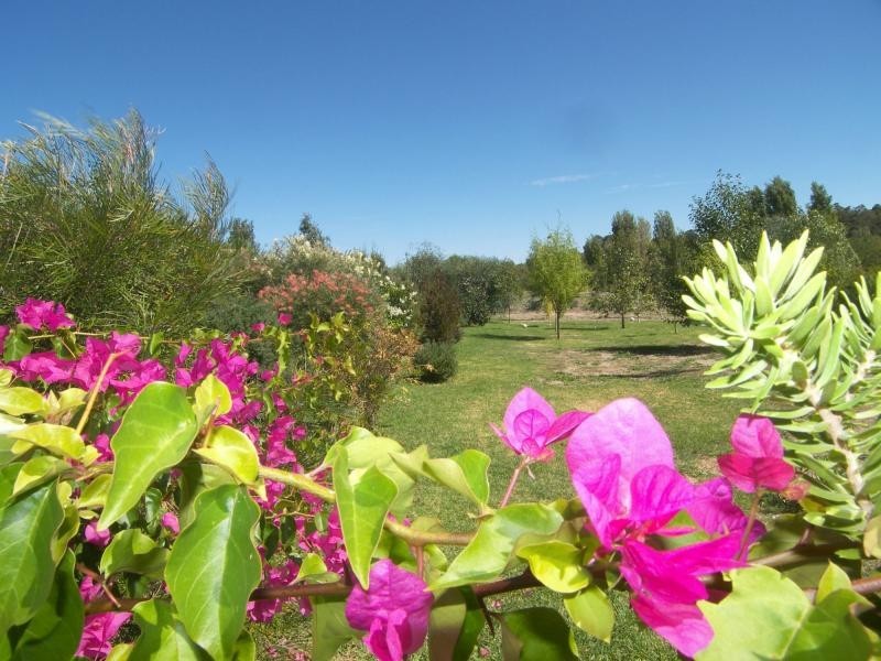 345 Peartree Lane, Parkerville WA 6081