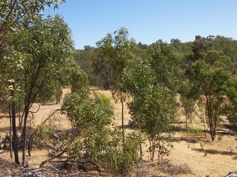 1245 Richardson Road, Hovea WA 6071