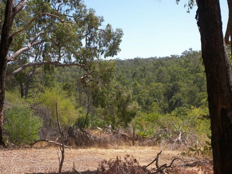 1245 Richardson Road, Hovea WA 6071