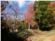 1015 Dartnall Road, Parkerville WA 6081
