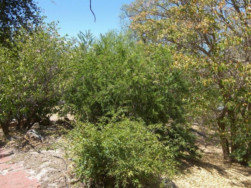 22 Musgrove Crescent, Boya WA 6056