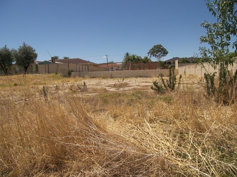 210 Longmore Loop, Swan View WA 6056