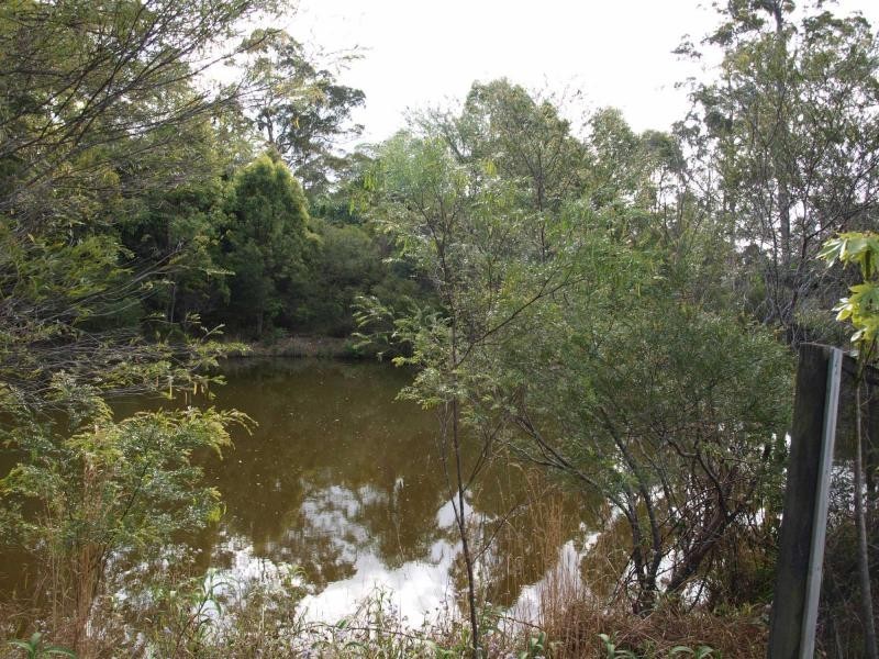 Mount Nathan QLD 4211