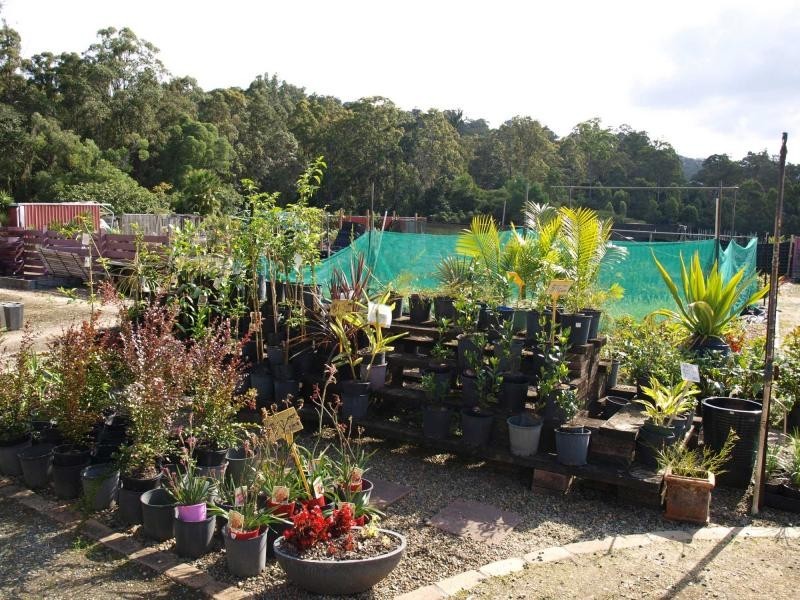 Mount Nathan QLD 4211