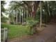 216 Carool Road, Bilambil NSW 2486