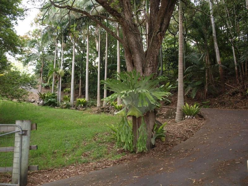 216 Carool Road, Bilambil NSW 2486