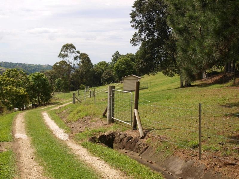 216 Carool Road, Bilambil NSW 2486