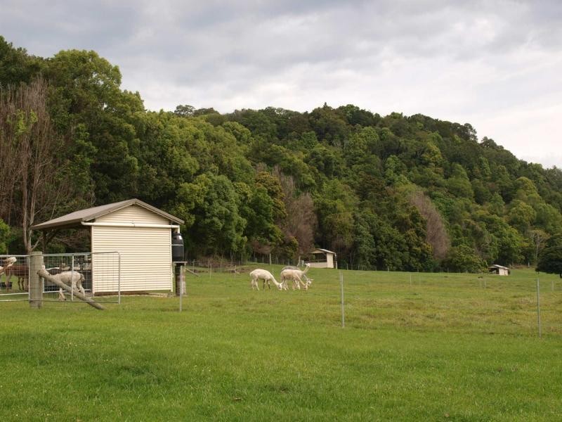216 Carool Road, Bilambil NSW 2486