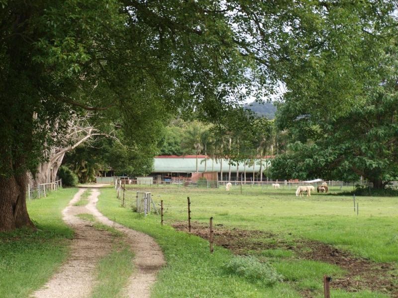 1004 Numinbah Road, Crystal Creek NSW 2484