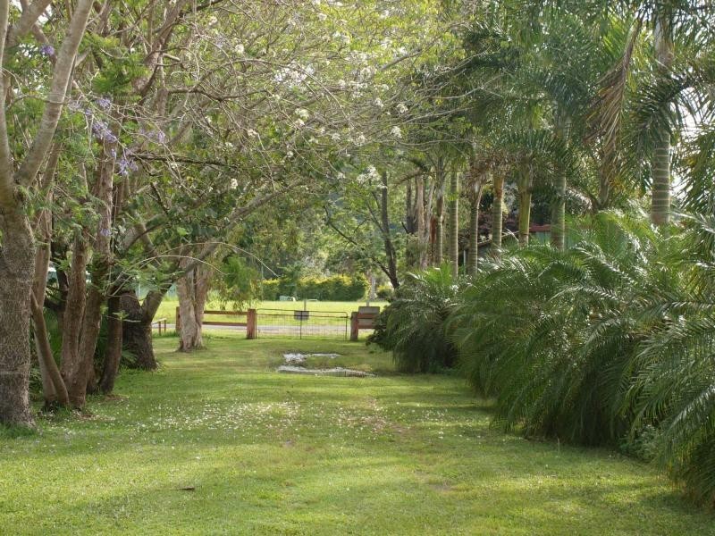 1004 Numinbah Road, Crystal Creek NSW 2484