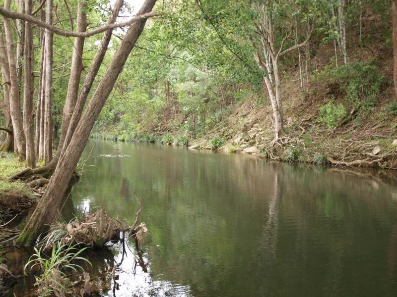 1004 Numinbah Road, Crystal Creek NSW 2484
