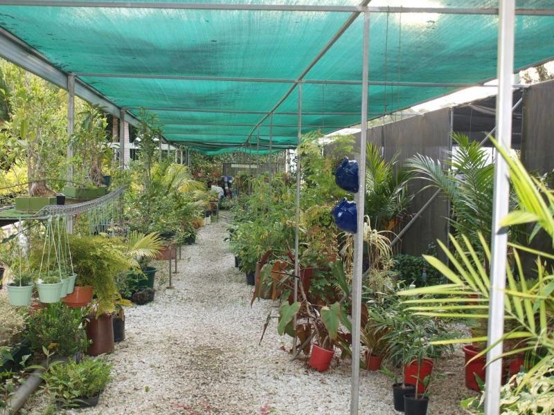 1004 Numinbah Road, Crystal Creek NSW 2484