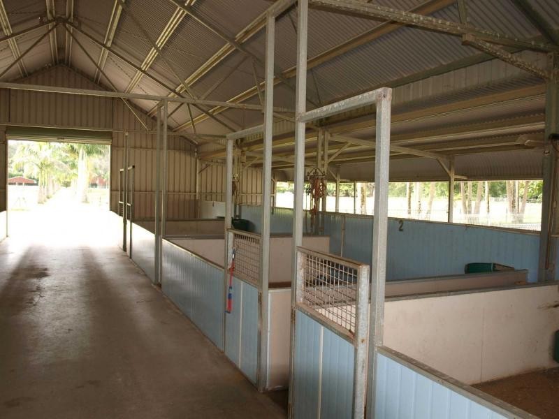 1004 Numinbah Road, Crystal Creek NSW 2484